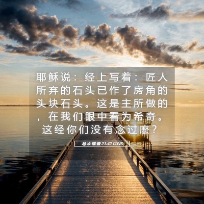 Picture 05 - 马 太 福 音 21:42 CUVS - 耶 稣 说 ： 经 上 写 着 ： 匠 人 所 - Bible Verse Picture