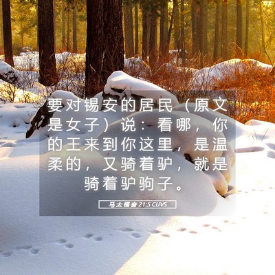 Picture 05 - 马 太 福 音 21:5 CUVS - 要 对 锡 安 的 居 民 （ 原 文 是 女 - Bible Verse Picture