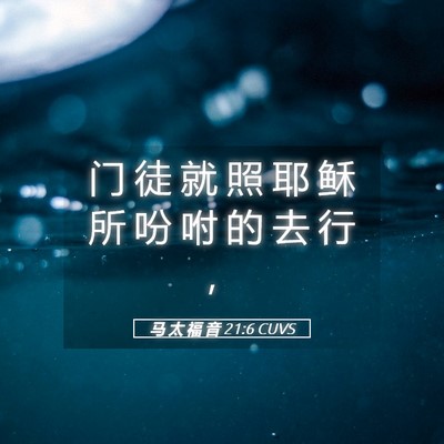 Picture 05 - 马 太 福 音 21:6 CUVS - 门 徒 就 照 耶 稣 所 吩 咐 的 去 行 - Bible Verse Picture