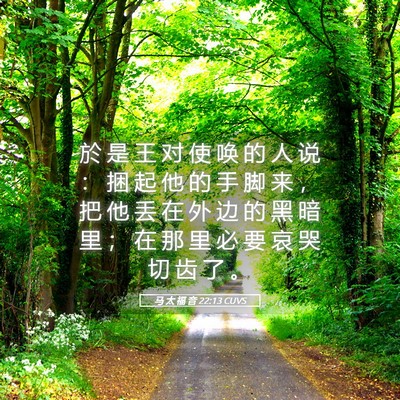 Picture 05 - 马 太 福 音 22:13 CUVS - 於 是 王 对 使 唤 的 人 说 ： 捆 起 - Bible Verse Picture