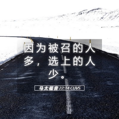 Picture 05 - 马 太 福 音 22:14 CUVS - 因 为 被 召 的 人 多 ， 选 上 的 人 - Bible Verse Picture