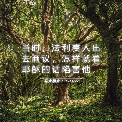 Picture 05 - 马 太 福 音 22:15 CUVS - 当 时 ， 法 利 赛 人 出 去 商 议 ， - Bible Verse Picture