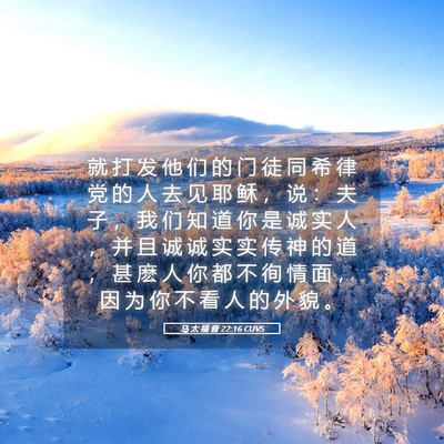 Picture 05 - 马 太 福 音 22:16 CUVS - 就 打 发 他 们 的 门 徒 同 希 律 党 - Bible Verse Picture
