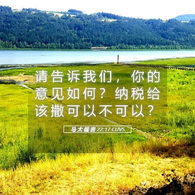 Picture 05 - 马 太 福 音 22:17 CUVS - 请 告 诉 我 们 ， 你 的 意 见 如 何 - Bible Verse Picture