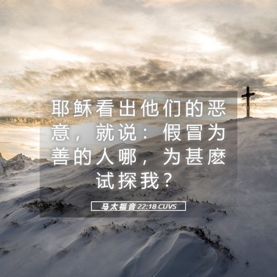 Picture 05 - 马 太 福 音 22:18 CUVS - 耶 稣 看 出 他 们 的 恶 意 ， 就 说 - Bible Verse Picture