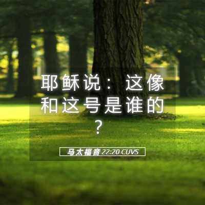 Picture 05 - 马 太 福 音 22:20 CUVS - 耶 稣 说 ： 这 像 和 这 号 是 谁 的 - Bible Verse Picture