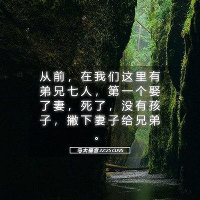 Picture 05 - 马 太 福 音 22:25 CUVS - 从 前 ， 在 我 们 这 里 有 弟 兄 七 - Bible Verse Picture