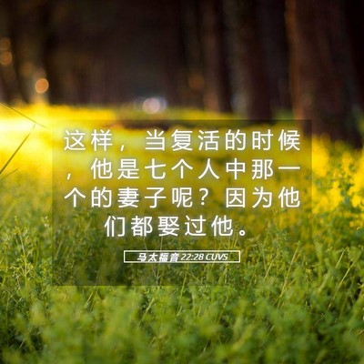Picture 05 - 马 太 福 音 22:28 CUVS - 这 样 ， 当 复 活 的 时 候 ， 他 是 - Bible Verse Picture