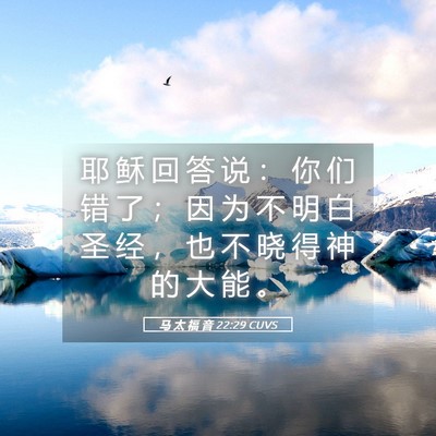 Picture 05 - 马 太 福 音 22:29 CUVS - 耶 稣 回 答 说 ： 你 们 错 了 ； 因 - Bible Verse Picture