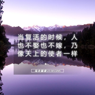 Picture 05 - 马 太 福 音 22:30 CUVS - 当 复 活 的 时 候 ， 人 也 不 娶 也 - Bible Verse Picture
