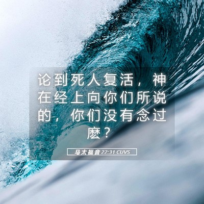 Picture 05 - 马 太 福 音 22:31 CUVS - 论 到 死 人 复 活 ， 神 在 经 上 向 - Bible Verse Picture
