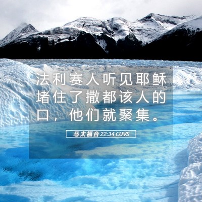 Picture 05 - 马 太 福 音 22:34 CUVS - 法 利 赛 人 听 见 耶 稣 堵 住 了 撒 - Bible Verse Picture