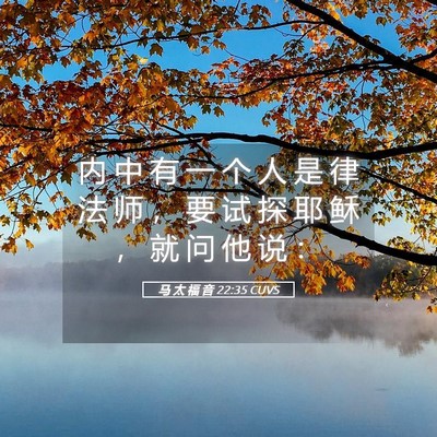 Picture 05 - 马 太 福 音 22:35 CUVS - 内 中 有 一 个 人 是 律 法 师 ， 要 - Bible Verse Picture