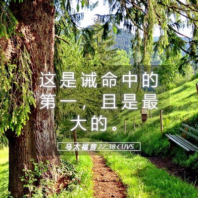 Picture 05 - 马 太 福 音 22:38 CUVS - 这 是 诫 命 中 的 第 一 ， 且 是 最 - Bible Verse Picture