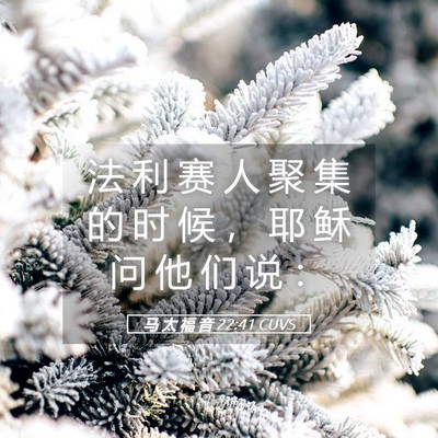 Picture 05 - 马 太 福 音 22:41 CUVS - 法 利 赛 人 聚 集 的 时 候 ， 耶 稣 - Bible Verse Picture