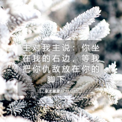 Picture 05 - 马 太 福 音 22:44 CUVS - 主 对 我 主 说 ： 你 坐 在 我 的 右 - Bible Verse Picture