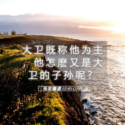 Picture 05 - 马 太 福 音 22:45 CUVS - 大 卫 既 称 他 为 主 ， 他 怎 麽 又 - Bible Verse Picture