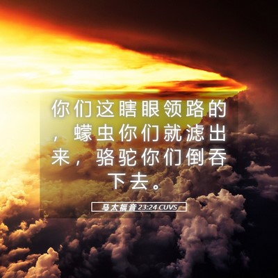 Picture 05 - 马 太 福 音 23:24 CUVS - 你 们 这 瞎 眼 领 路 的 ， 蠓 虫 你 - Bible Verse Picture