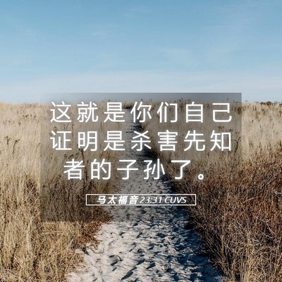 Picture 05 - 马 太 福 音 23:31 CUVS - 这 就 是 你 们 自 己 证 明 是 杀 害 - Bible Verse Picture