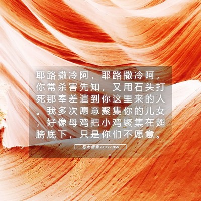 Picture 05 - 马 太 福 音 23:37 CUVS - 耶 路 撒 冷 阿 ， 耶 路 撒 冷 阿 ， - Bible Verse Picture