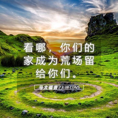 Picture 05 - 马 太 福 音 23:38 CUVS - 看 哪 ， 你 们 的 家 成 为 荒 场 留 - Bible Verse Picture