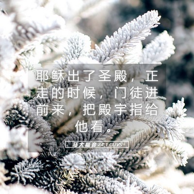 Picture 05 - 马 太 福 音 24:1 CUVS - 耶 稣 出 了 圣 殿 ， 正 走 的 时 候 - Bible Verse Picture