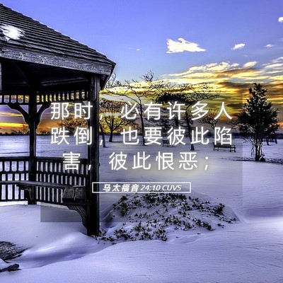 Picture 05 - 马 太 福 音 24:10 CUVS - 那 时 ， 必 有 许 多 人 跌 倒 ， 也 - Bible Verse Picture