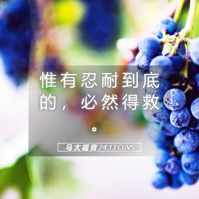 Picture 05 - 马 太 福 音 24:13 CUVS - 惟 有 忍 耐 到 底 的 ， 必 然 得 救 - Bible Verse Picture
