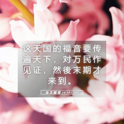 Picture 05 - 马 太 福 音 24:14 CUVS - 这 天 国 的 福 音 要 传 遍 天 下 ， - Bible Verse Picture