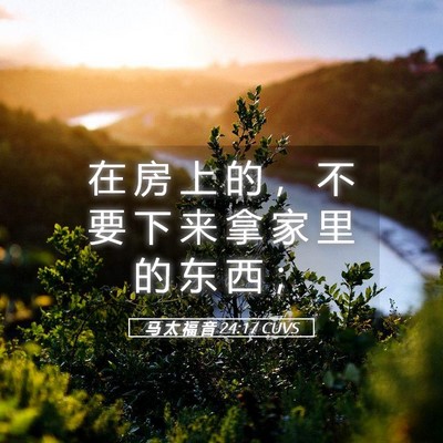 Picture 05 - 马 太 福 音 24:17 CUVS - 在 房 上 的 ， 不 要 下 来 拿 家 里 - Bible Verse Picture