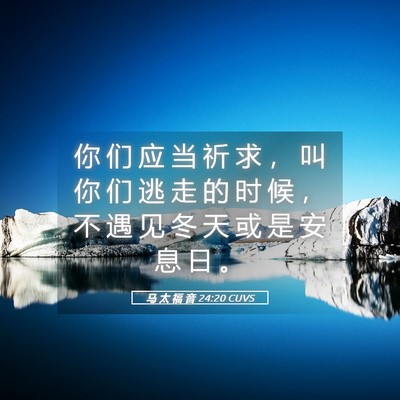 Picture 05 - 马 太 福 音 24:20 CUVS - 你 们 应 当 祈 求 ， 叫 你 们 逃 走 - Bible Verse Picture