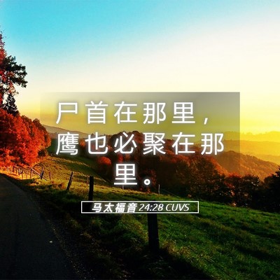 Picture 05 - 马 太 福 音 24:28 CUVS - 尸 首 在 那 里 ， 鹰 也 必 聚 在 那 - Bible Verse Picture