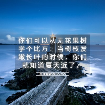 Picture 05 - 马 太 福 音 24:32 CUVS - 你 们 可 以 从 无 花 果 树 学 个 比 - Bible Verse Picture