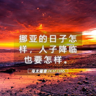 Picture 05 - 马 太 福 音 24:37 CUVS - 挪 亚 的 日 子 怎 样 ， 人 子 降 临 - Bible Verse Picture