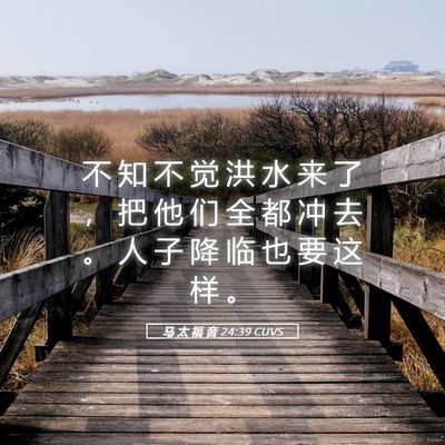 Picture 05 - 马 太 福 音 24:39 CUVS - 不 知 不 觉 洪 水 来 了 ， 把 他 们 - Bible Verse Picture