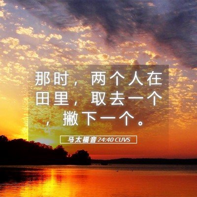 Picture 05 - 马 太 福 音 24:40 CUVS - 那 时 ， 两 个 人 在 田 里 ， 取 去 - Bible Verse Picture