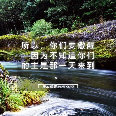 Picture 05 - 马 太 福 音 24:42 CUVS - 所 以 ， 你 们 要 儆 醒 ， 因 为 不 - Bible Verse Picture
