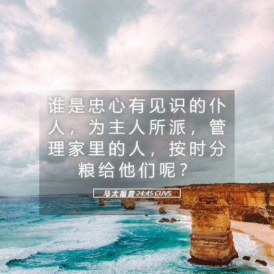 Picture 05 - 马 太 福 音 24:45 CUVS - 谁 是 忠 心 有 见 识 的 仆 人 ， 为 - Bible Verse Picture