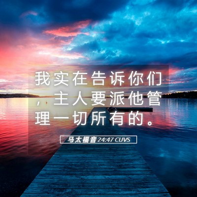 Picture 05 - 马 太 福 音 24:47 CUVS - 我 实 在 告 诉 你 们 ， 主 人 要 派 - Bible Verse Picture