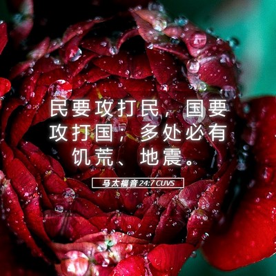 Picture 05 - 马 太 福 音 24:7 CUVS - 民 要 攻 打 民 ， 国 要 攻 打 国 ； - Bible Verse Picture