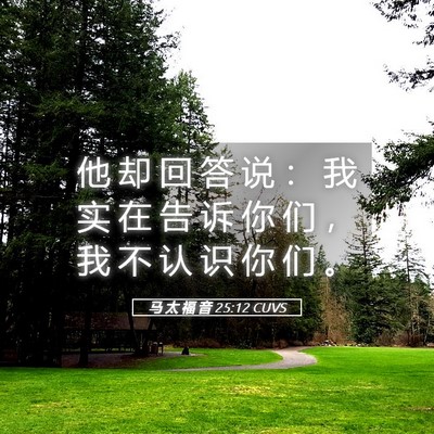 Picture 05 - 马 太 福 音 25:12 CUVS - 他 却 回 答 说 ： 我 实 在 告 诉 你 - Bible Verse Picture