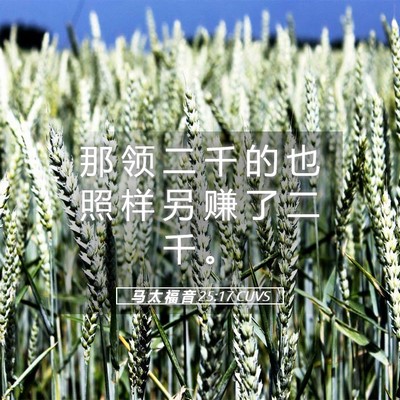 Picture 05 - 马 太 福 音 25:17 CUVS - 那 领 二 千 的 也 照 样 另 赚 了 二 - Bible Verse Picture