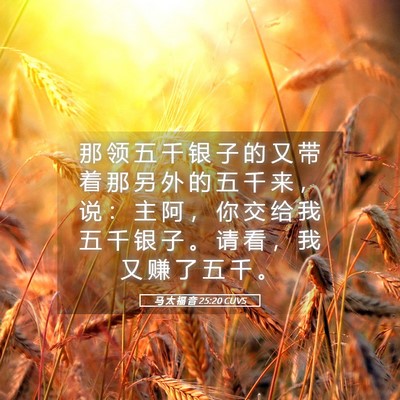 Picture 05 - 马 太 福 音 25:20 CUVS - 那 领 五 千 银 子 的 又 带 着 那 另 - Bible Verse Picture