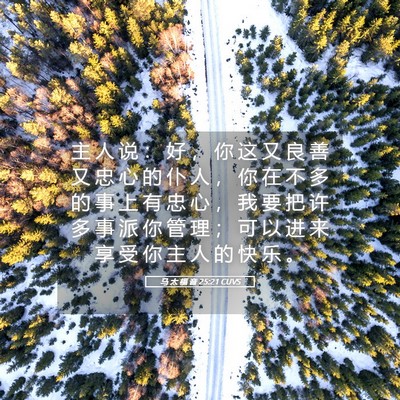 Picture 05 - 马 太 福 音 25:21 CUVS - 主 人 说 ： 好 ， 你 这 又 良 善 又 - Bible Verse Picture