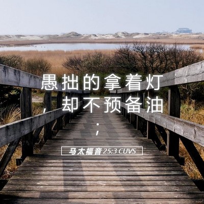 Picture 05 - 马 太 福 音 25:3 CUVS - 愚 拙 的 拿 着 灯 ， 却 不 预 备 油 - Bible Verse Picture