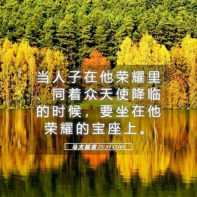 Picture 05 - 马 太 福 音 25:31 CUVS - 当 人 子 在 他 荣 耀 里 、 同 着 众 - Bible Verse Picture