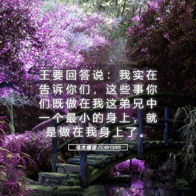 Picture 05 - 马 太 福 音 25:40 CUVS - 王 要 回 答 说 ： 我 实 在 告 诉 你 - Bible Verse Picture