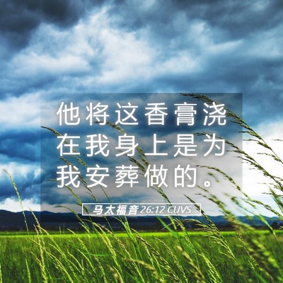 Picture 05 - 马 太 福 音 26:12 CUVS - 他 将 这 香 膏 浇 在 我 身 上 是 为 - Bible Verse Picture