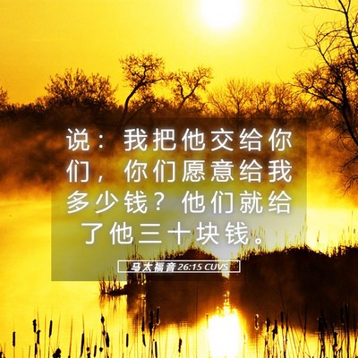 Picture 05 - 马 太 福 音 26:15 CUVS - 说 ： 我 把 他 交 给 你 们 ， 你 们 - Bible Verse Picture