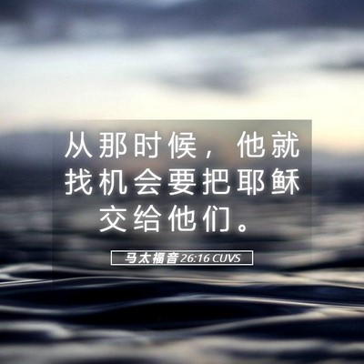 Picture 05 - 马 太 福 音 26:16 CUVS - 从 那 时 候 ， 他 就 找 机 会 要 把 - Bible Verse Picture